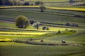 Wavy fields, fairy-tale patterns Royalty Free Stock Photo